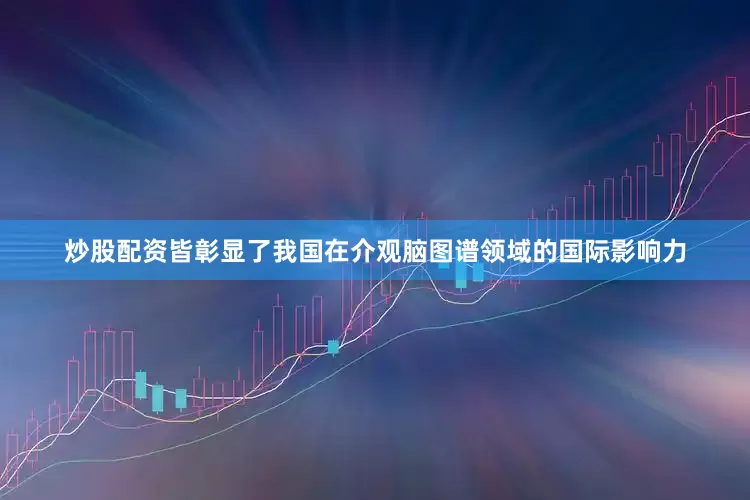 炒股配资皆彰显了我国在介观脑图谱领域的国际影响力