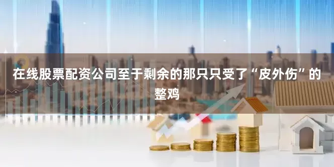 在线股票配资公司至于剩余的那只只受了“皮外伤”的整鸡